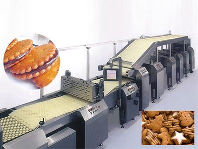 Soft or Hard Biscuit Production Line
